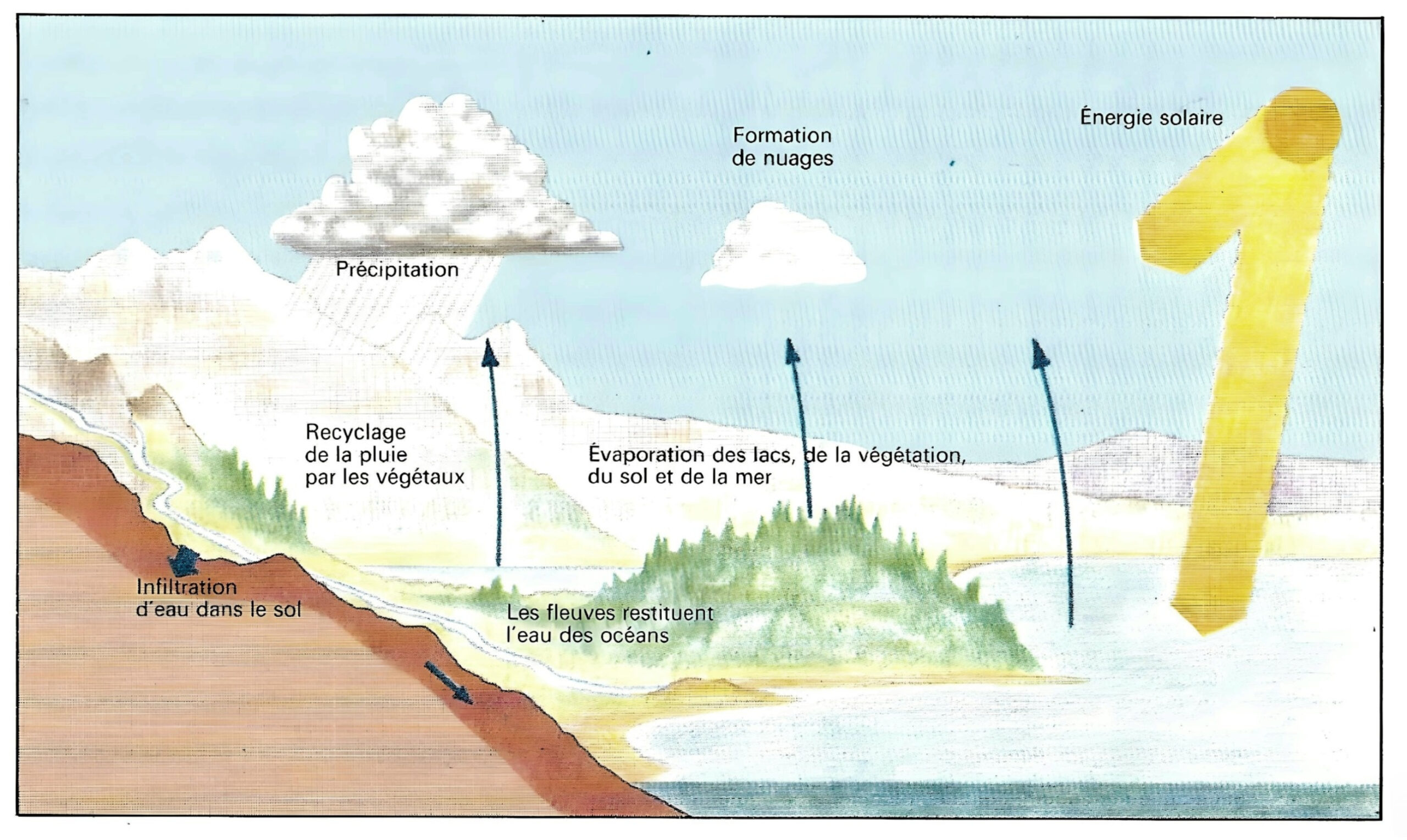 Schéma simplifié du cycle de l'eau naturel.