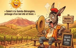 « Soleil à la Sainte-Bérengère, présage d'un bel été et hiver. »