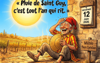 « Pluie de Saint-Guy, c'est tout l'an qui rit. »