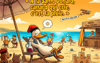 « A la Saint Donald, canard qui crie, c'est la pluie. »