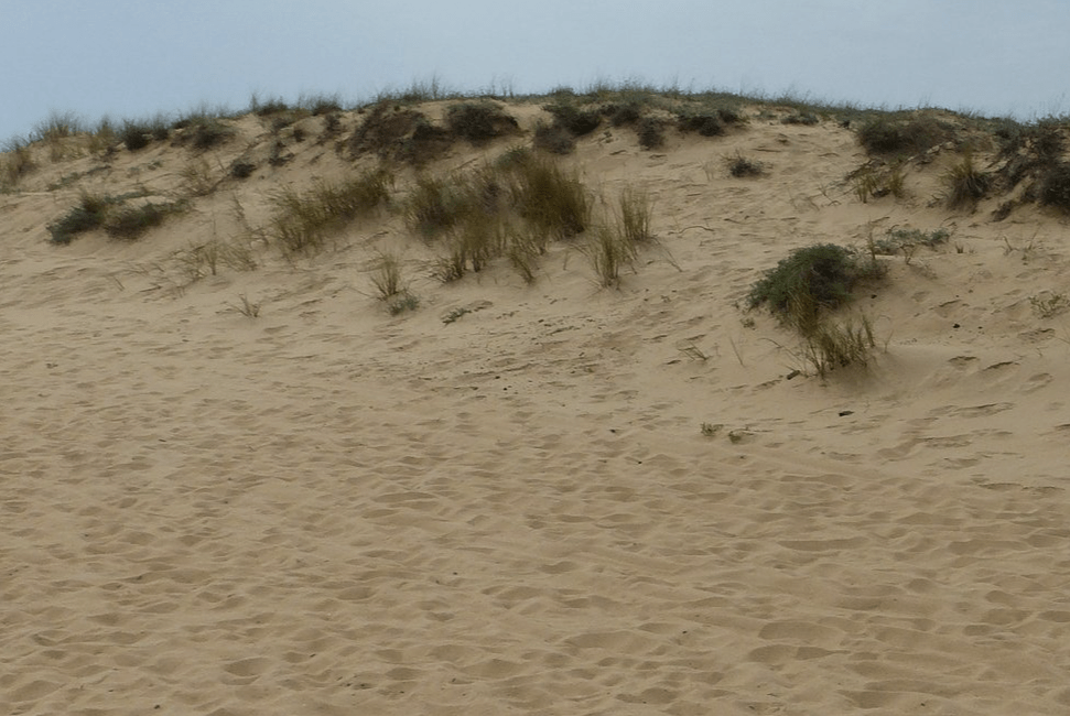 désert / sable / plage