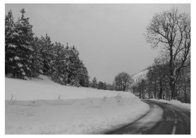 hiver noir et blanc 1956