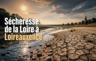 Sécheresse Loire 2026 à Loireauxence : Débits, Restrictions et Enjeux