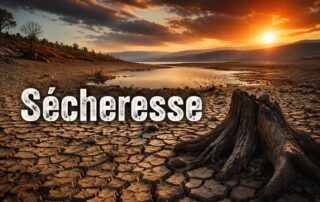 sécheresse