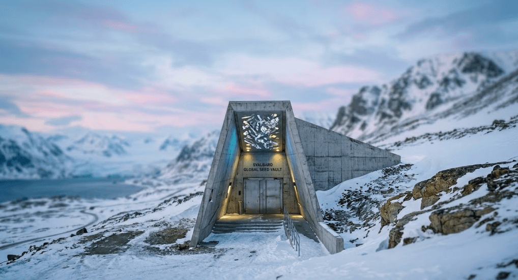 Le coffre-fort de l'Apocalypse : le sanctuaire ultime de la biodiversité face aux crises mondiales