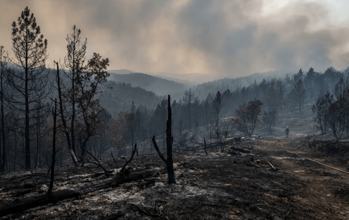 Incendies Europe 2026 : le bilan chiffré d'une saison hors norme