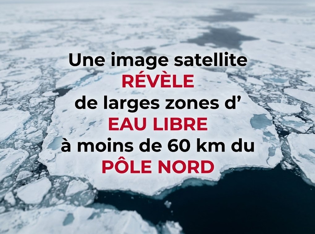 Une image satellite révèle de larges zones d’eau libre à moins de 60 km du pôle Nord