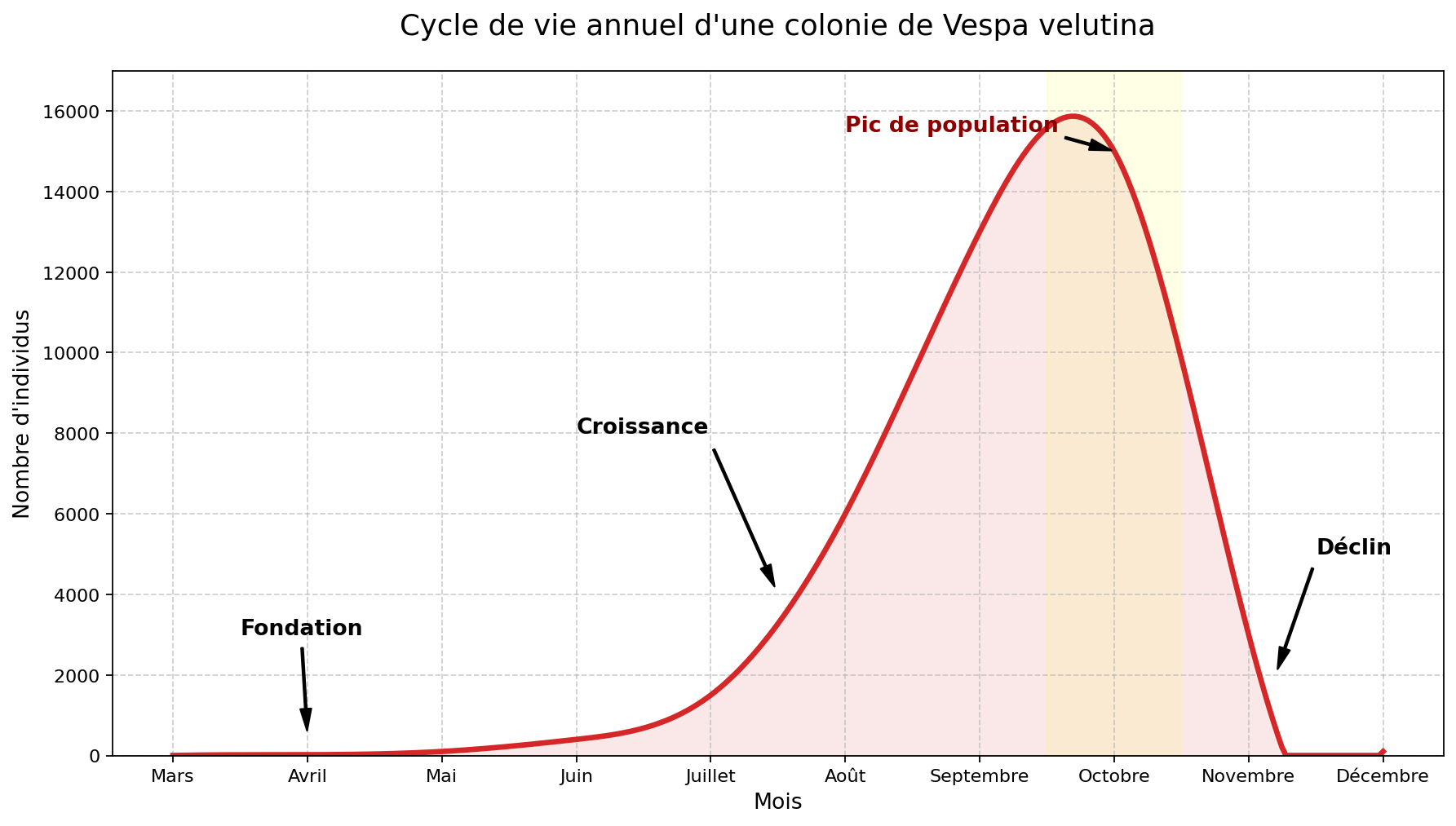 vvr_1788870452195_cl1rx5ef Cycle de vie annuel d'une colonie de Vespa velutina